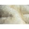 Homeroots 2 x 2 x 6 in. New Zealand Double Sheepskin Rug Natural 293193 - alternate 5